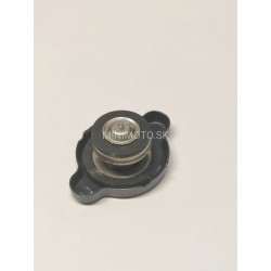 Zátka chladiča Bashan, atv