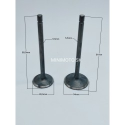 Ventily 250cc Xmoto, Atv